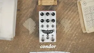 Chase Bliss - Condor