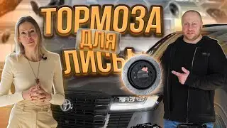 Прокачали тормоза на Toyota Land Cruiser 300!