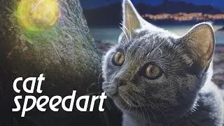 A cat speedart | photomanipulaion