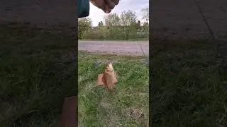 ПОПЛОВОЧНАЯ РЫБАЛКА