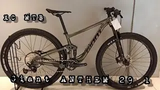 2021 GIANT ANTHEM 29 1 | GIANT XC MTB