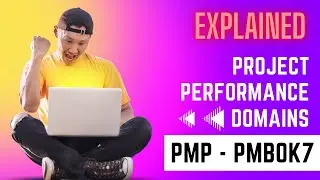 PMBOK7 : PART-2 : Project Performance Domains