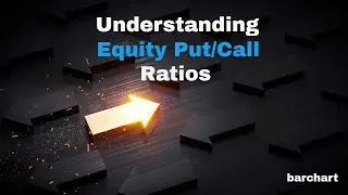 Understanding Equity Put/Call Ratios