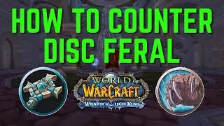 How to Counter Disc Priest Feral in Wotlk Arena PvP