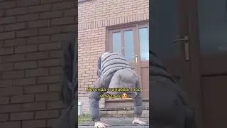 andy darling   одной любимый 