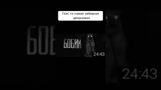 Пов: та самая забивная дворняжка #shorts #мем  #мемы