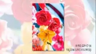 Презентационный ролик компании LOVELY