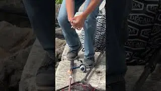 Спортивна рибалка зловив рибу і випустив в озеро