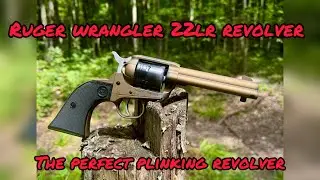 Ruger Wrangler 22lr revolver. This thing is awesome!