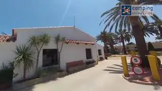 Camping Las Palmeras