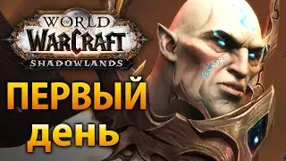 Первый день в Shadowlands – Синематики, квесты и выбор ковенанта
