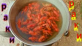 Раки в казане... от КазаН ГараЖ