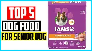 ✅Best dog food for senior dogs in 2024