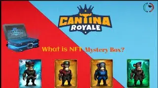 What is NFT Mystery Box? How to get Mystery Box?
