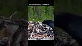 La mamma li lascia soli non pensando al pericolo in agguato