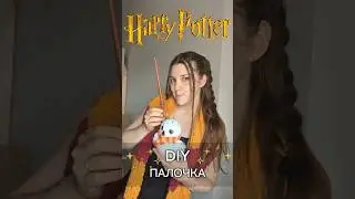 Any Harry Potter fans here? ✨