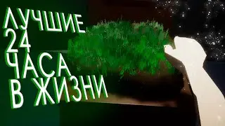 24 ЧАСА ТРОГАЮ ТРАВУ