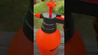 Каларадский жук наступает