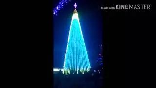 Новогодняя Елка в Полтаве. 2018.