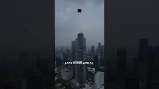 Keturunan Anjing Ashabul Kahfi