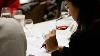 Académie du Vin | Weinkurs | WSET Level 2 in Wines