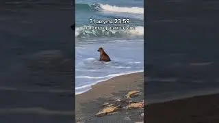 #егэ