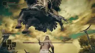 Centinela Agreste a NIVEL 1 | ELDEN RING