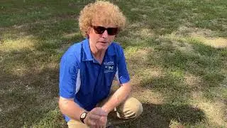When is the Best Time to Aerate and Overseed