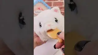 Little Live Pets My Kitty's Home #asmr #littlelivepets #kitten