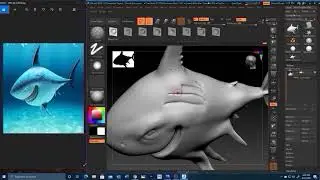 Making A Shark in Zbrush