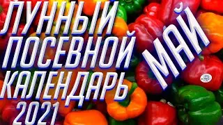 ЛУННЫЙ  КАЛЕНДАРЬ ОГОРОДНИКА МАЙ 2021!!!БЛАГОПРИЯТНЫЕ ДНИ ДЛЯ ПОСЕВА!!!