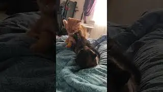 Кто кого?