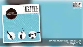 Secret Molecules - High Tide - Official Video