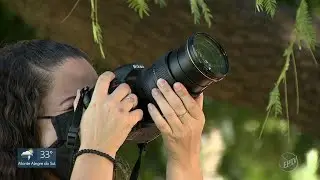 CURSO DE FOTOGRAFIA ONLINE COM CERTIFICADO + 8 BÔNUS CURSO COMPLETO