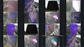 amedia отчеты