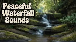 1 HOUR OF WATERFALL & FOREST SOUNDS 🌿 RELAXING NATURE FOR SLEEP, STUDY, WORK & MEDITATION | THE.DOX