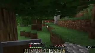 ИГРАЕМ С ДРУГОМ В МАЙН
