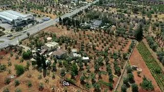 Xylella fastidiosa nel Salento video, ESISTE UNA CURA!