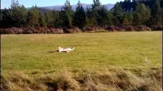 Jakey Boy's Polaris landing 2