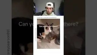 CAT TOOK IT AS A CHALLENGE.. 😭