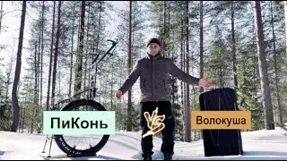Пиконь против рыбацкой влолокуши