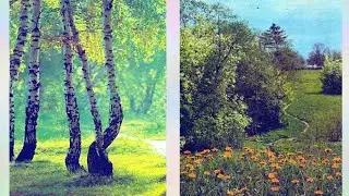 Основные темы и идеи лирики Ф. И. Тютчева