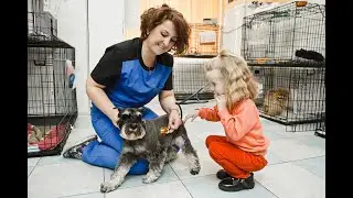 Экскурсия в ветеринарную клинику