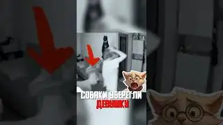 A GIRL GOT POODLES AFTER A BREAKUP - THEY SAVED HER FROM HER EX!