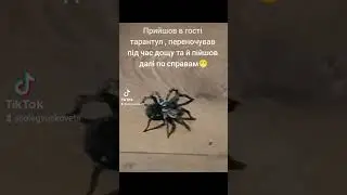 15 січня 2024 р.