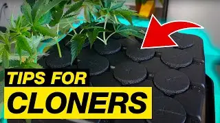 PREP A CLONER IN 60 SECONDS!