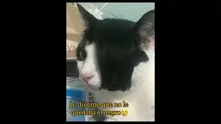 Que más quierenn😭😭🤕🤕😭🤡😂