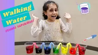 Walking Water Science Experiment for kids ! I Color changing walking water I Color Activity for kids