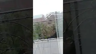 Хочу стримитьььььь(чекайте описание)