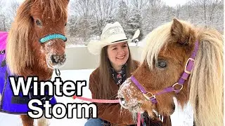 Horses In The Snow & Winter Week Barn Vlog